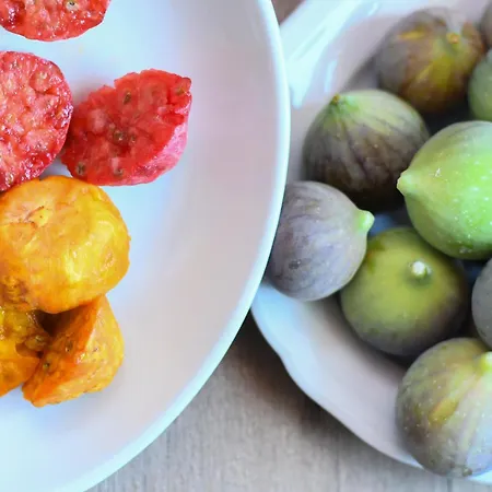 Domu Virginia ベッド・アンド・ブレックファスト *