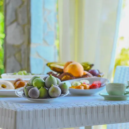 Oda ve Kahvaltı Domu Virginia *