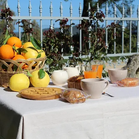 Bed & Breakfast Domu Virginia *