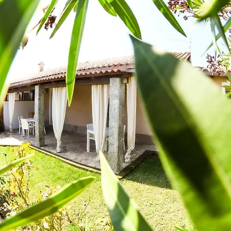 Domu Virginia Bed & Breakfast Castiadas