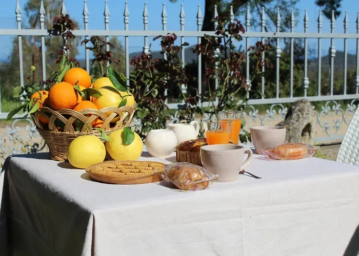 Bed & Breakfast Domu Virginia *