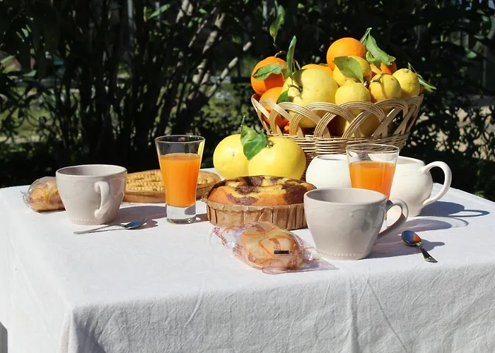 Domu Virginia Bed & Breakfast *