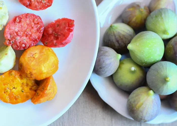 Domu Virginia Bed & Breakfast *