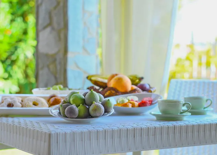 Bed & Breakfast Domu Virginia *