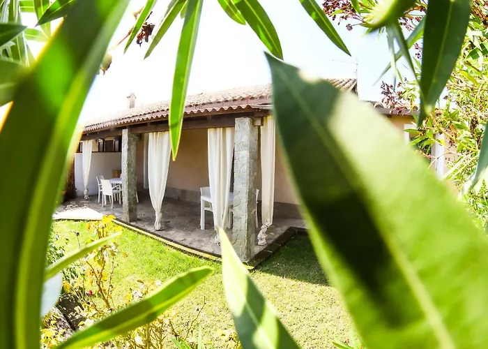 Domu Virginia Bed & Breakfast Castiadas